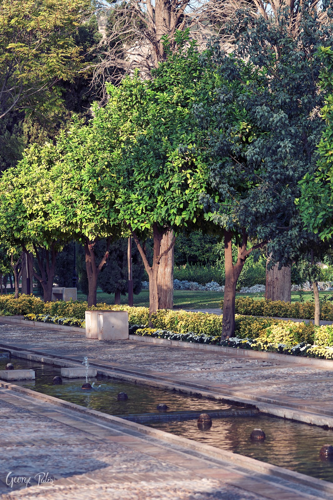 2017 10 07 PAL7402